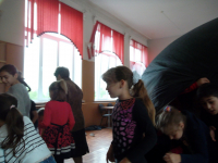 SAM_3231